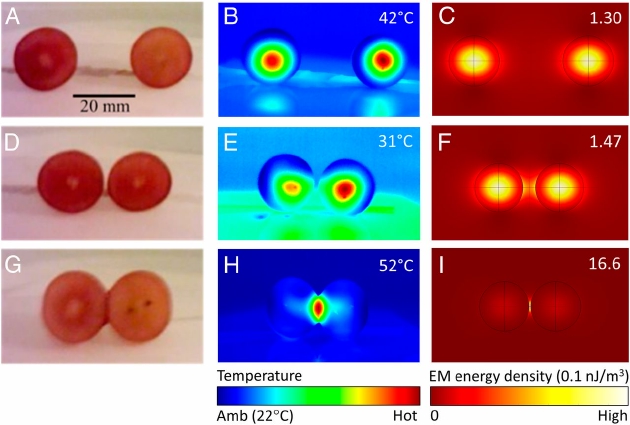 具有三种不同间隙的两粒葡萄，在用微波炉照射加热后，达到特定温度，间隙最小的温度最高，时间平均能量密度在最窄间隙之间温度最高。