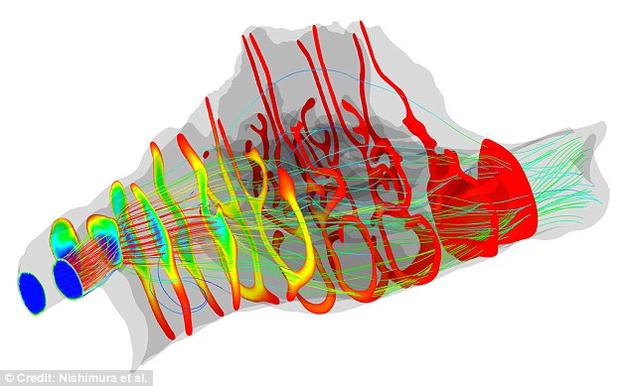 科学家们利用计算机模型模拟空气通过人类鼻子的气流，并将其与黑猩猩和猕猴身上的实验进行对比分析。