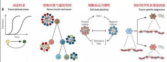 ?图8：免疫细胞与环境相互作用的遗传机制