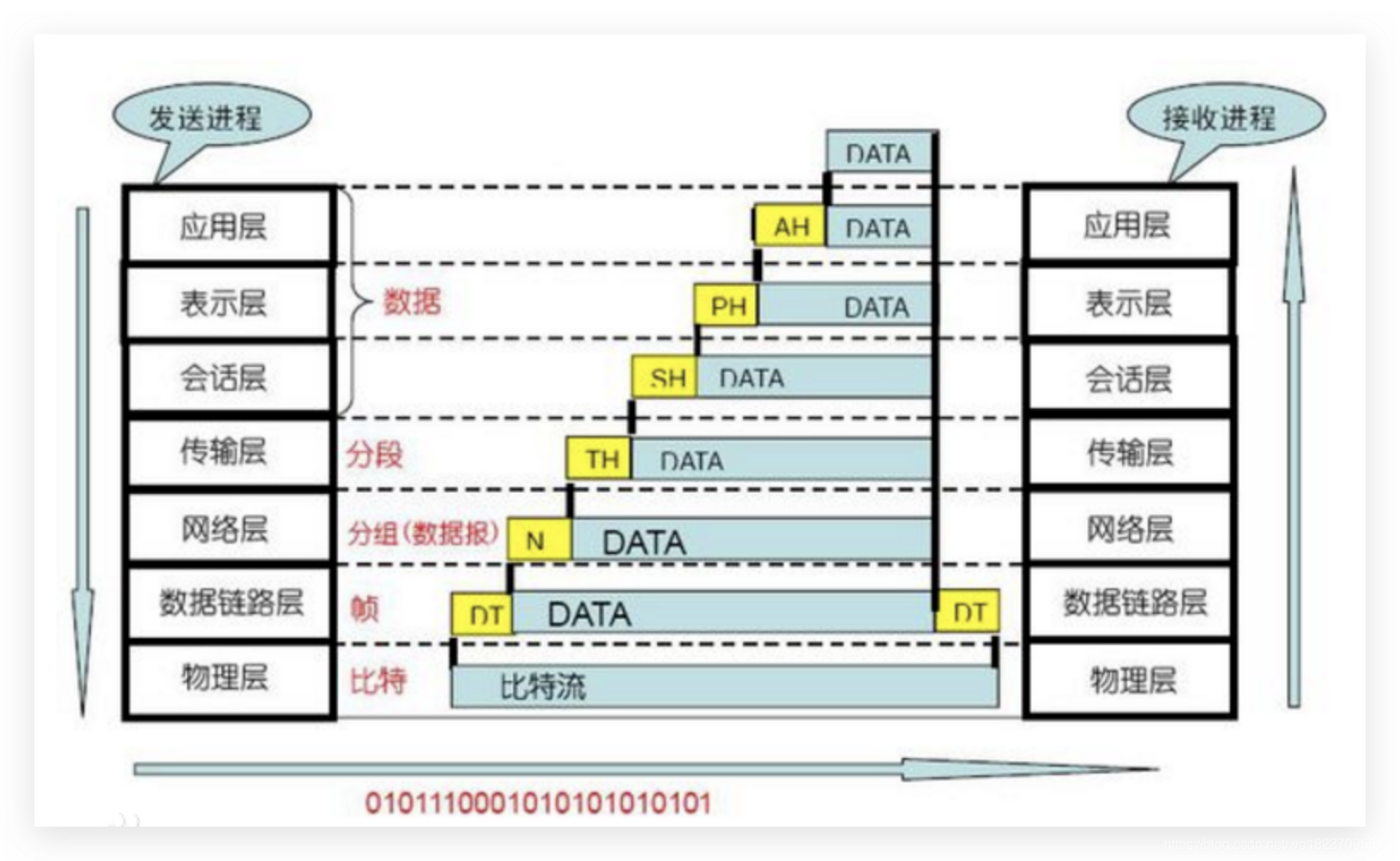 网络模型