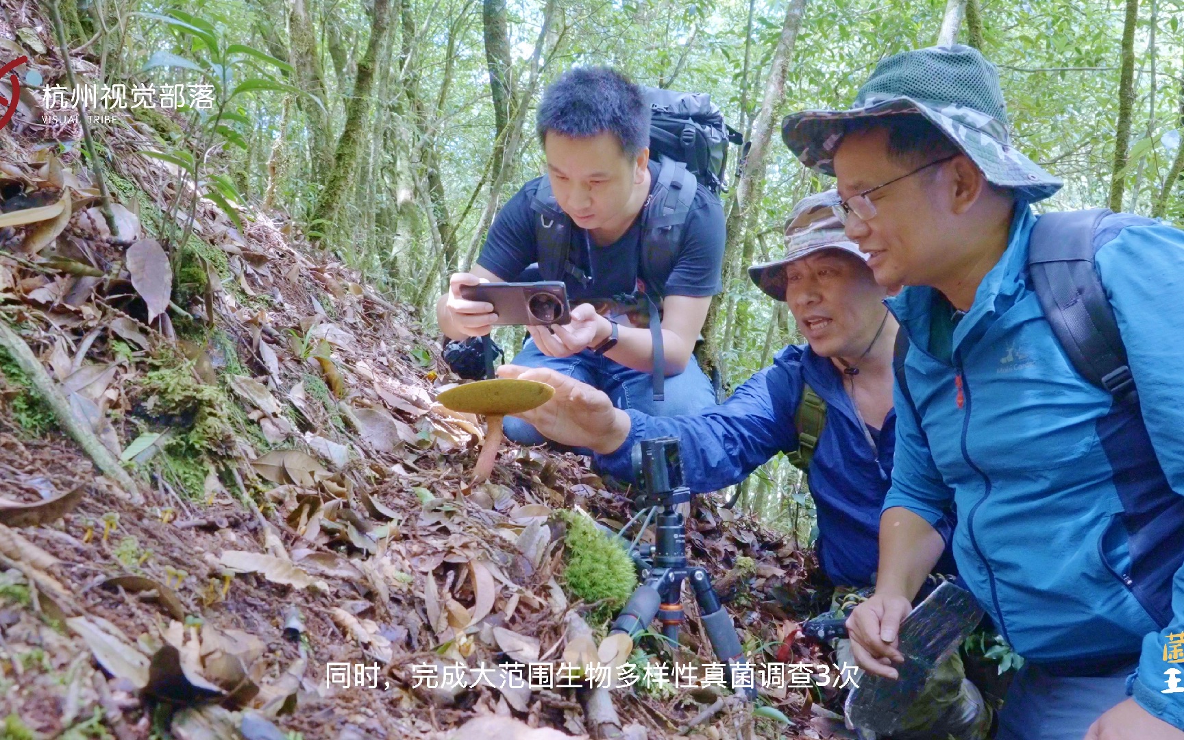 先导片 国内首部系统的、完整的菌物生物多样性纪录片花絮